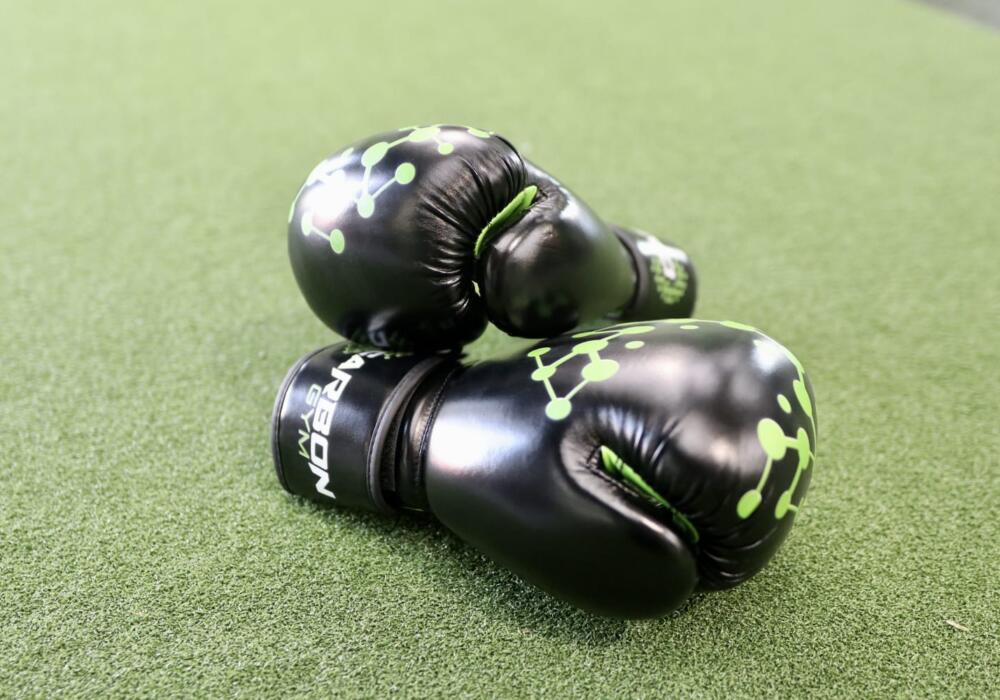 Carbon Boxing Gloves with multi-layer foam padding at Carbon Gym Geelong