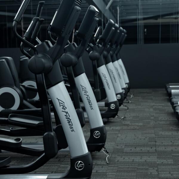 Close-up of a row of black and white Life Fitness elliptical machines with treadmills visible in the background.