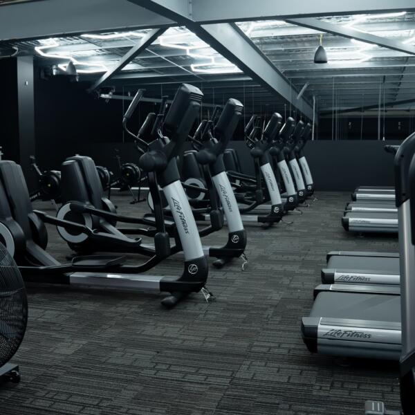 Row of treadmills and elliptical trainers under industrial ceiling lighting, with a carpeted cardio room floor.