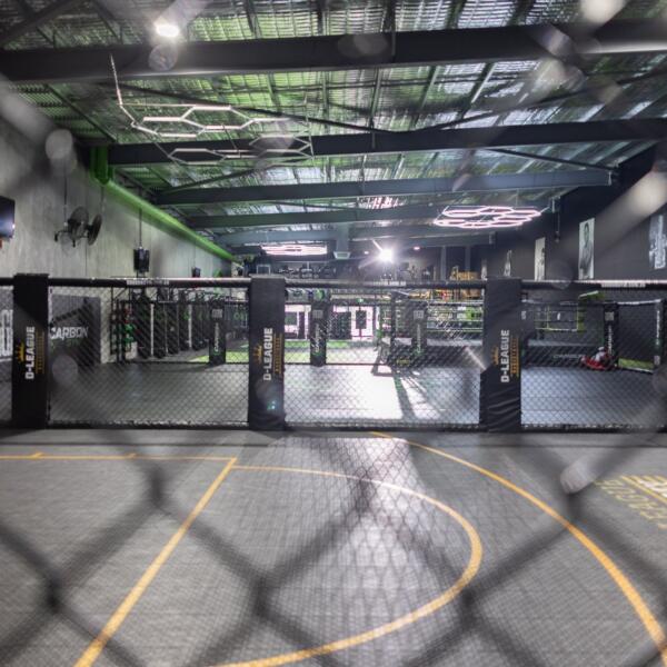Interior view from inside a padded training cage looking out over a basketball court, boxing ring and gym equipment.