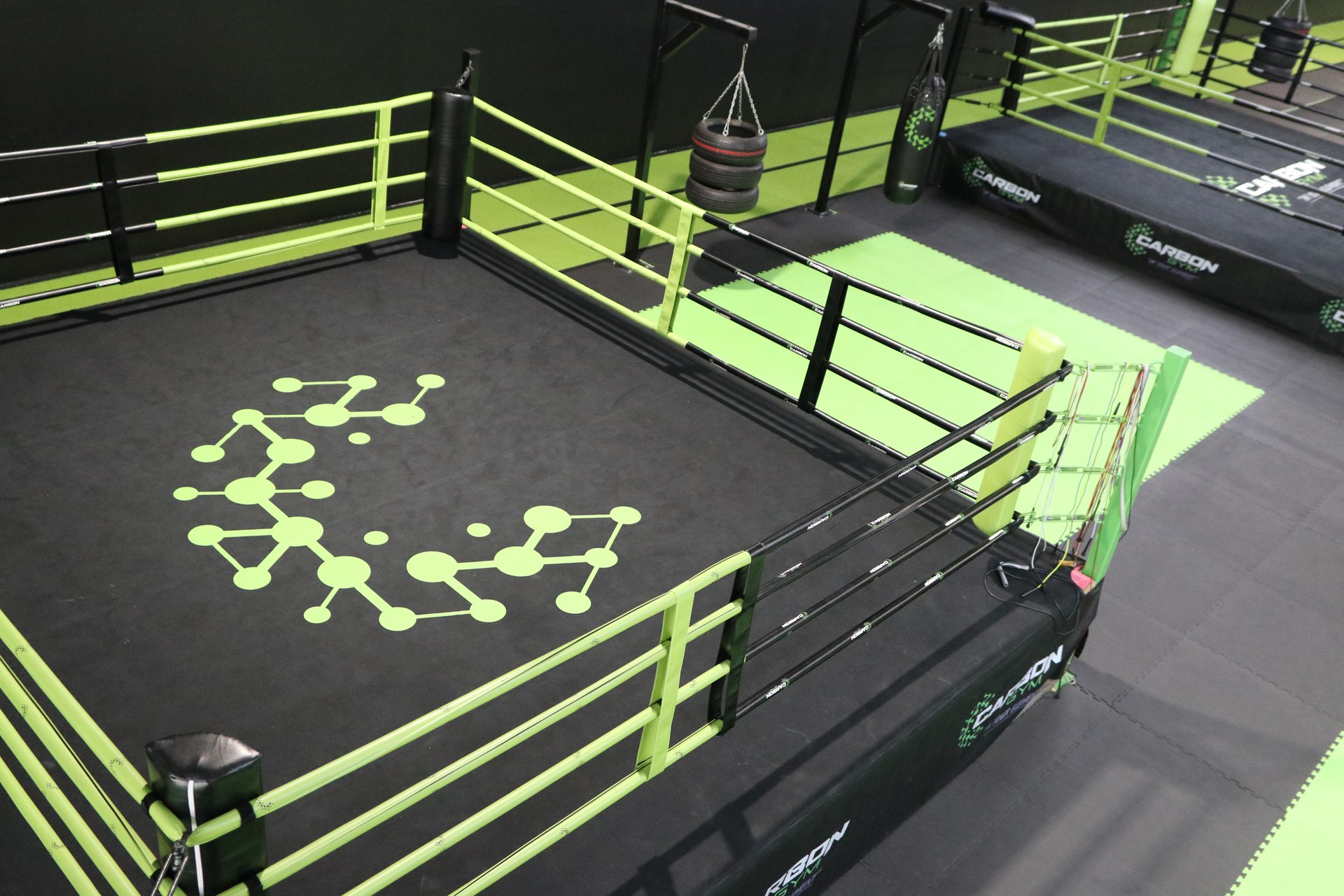 Close-up angle of a boxing ring canvas with a green molecular logo, tyre punching bag and ring ropes in view.